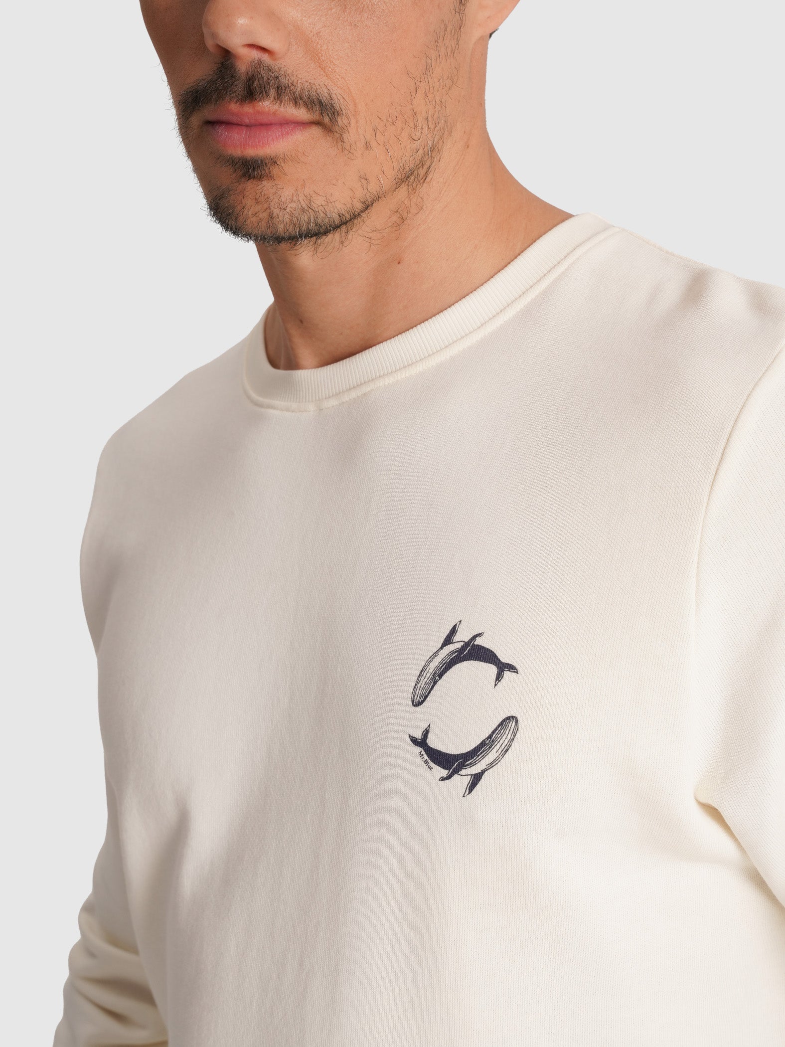 HOODIE ALGODÃO CRU MANGA COMPRIDA REGULAR FIT MR. BLUE