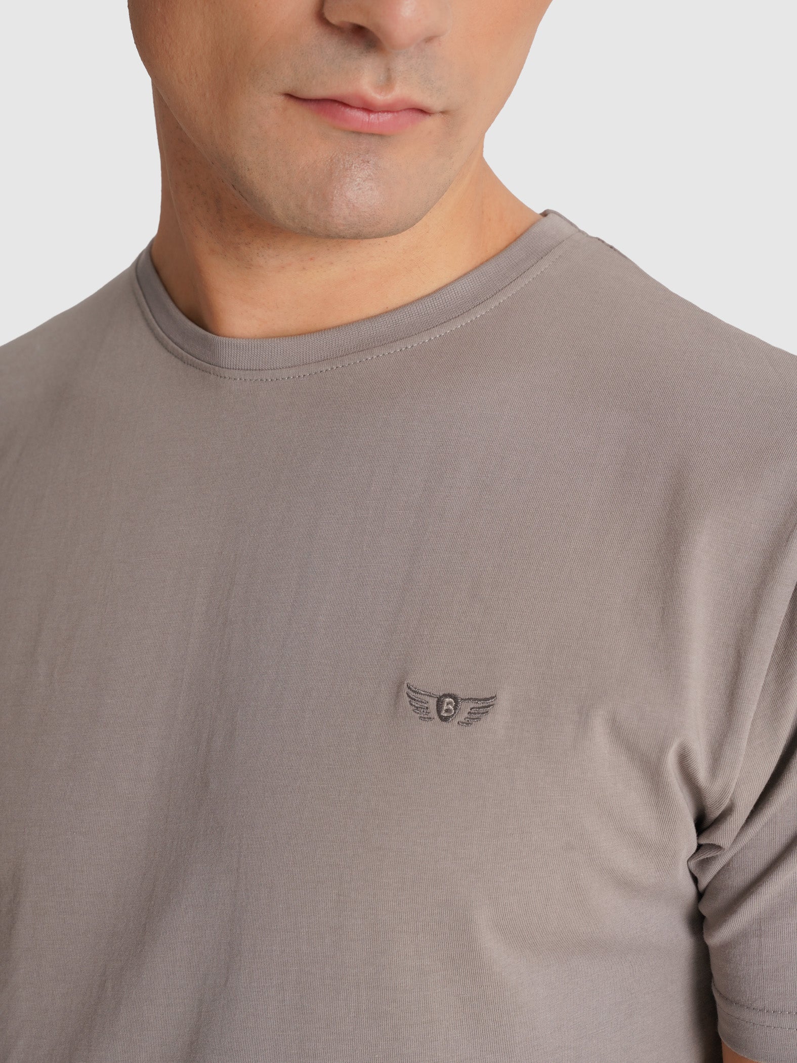 T-SHIRT CINZENTA MANGA CURTA REGULAR FIT MR. BLUE