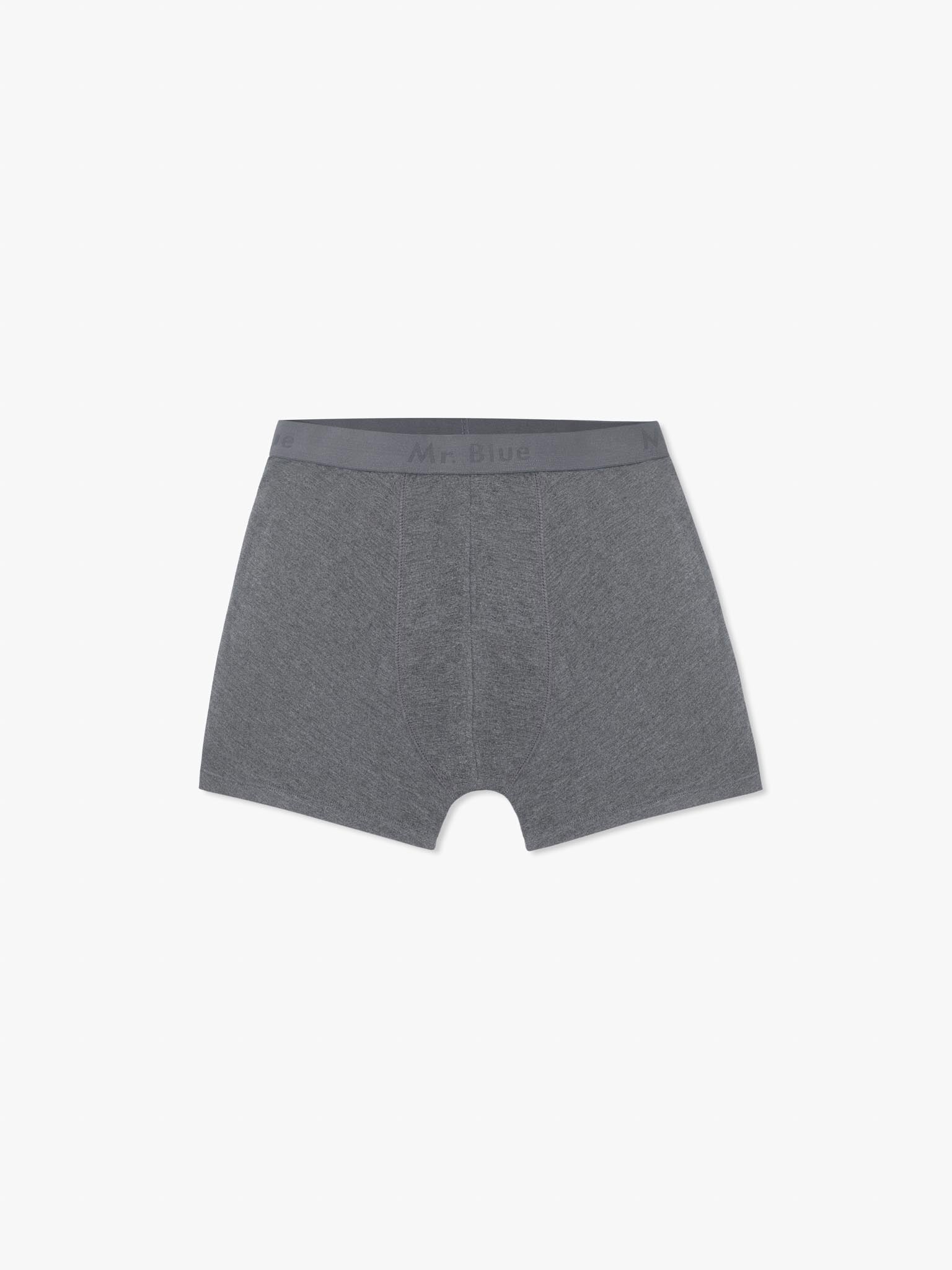 GRAY BOXERS REGULAR FIT MR. BLUE