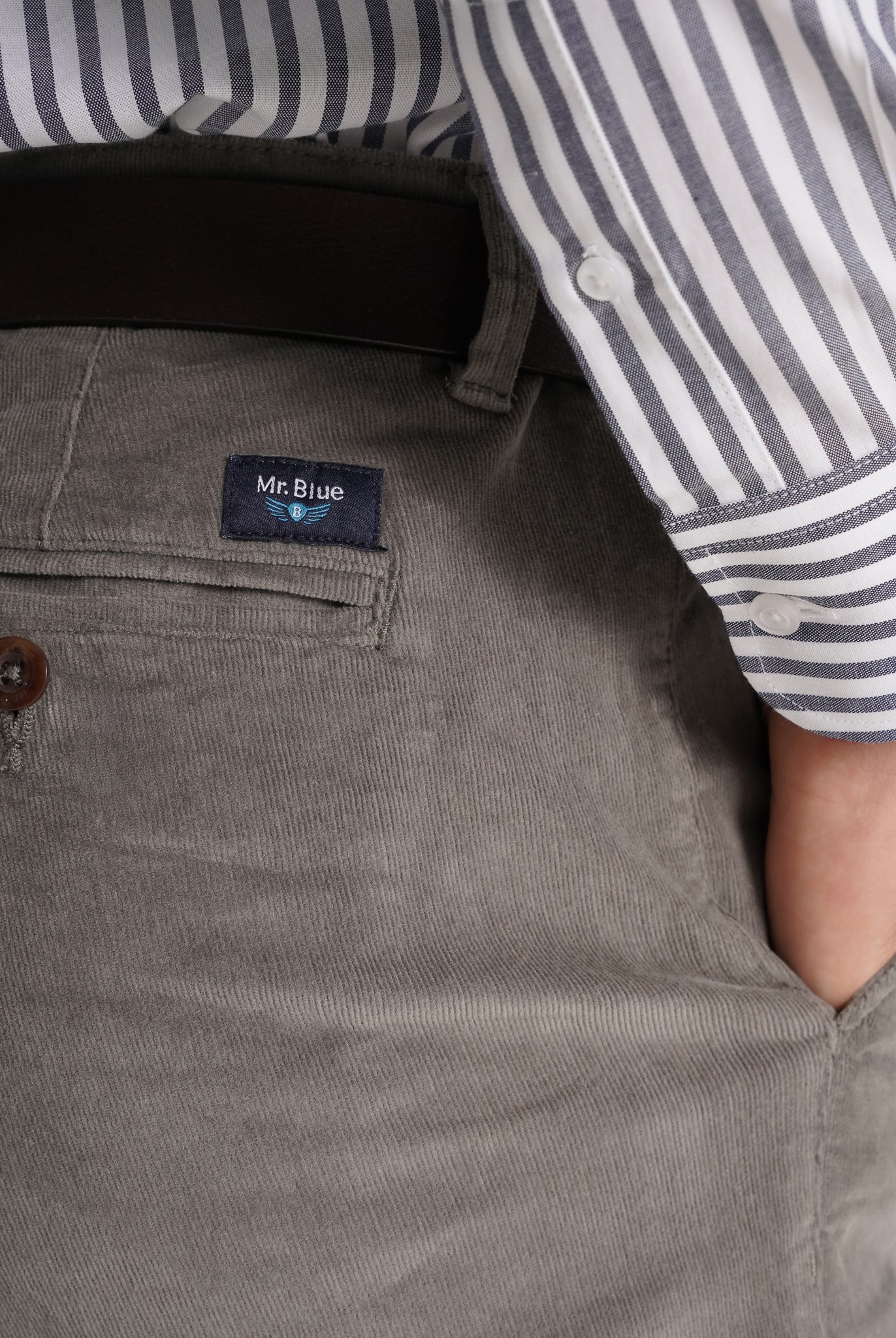 Calça Algodão Verdes Regular Fit Mr. Blue