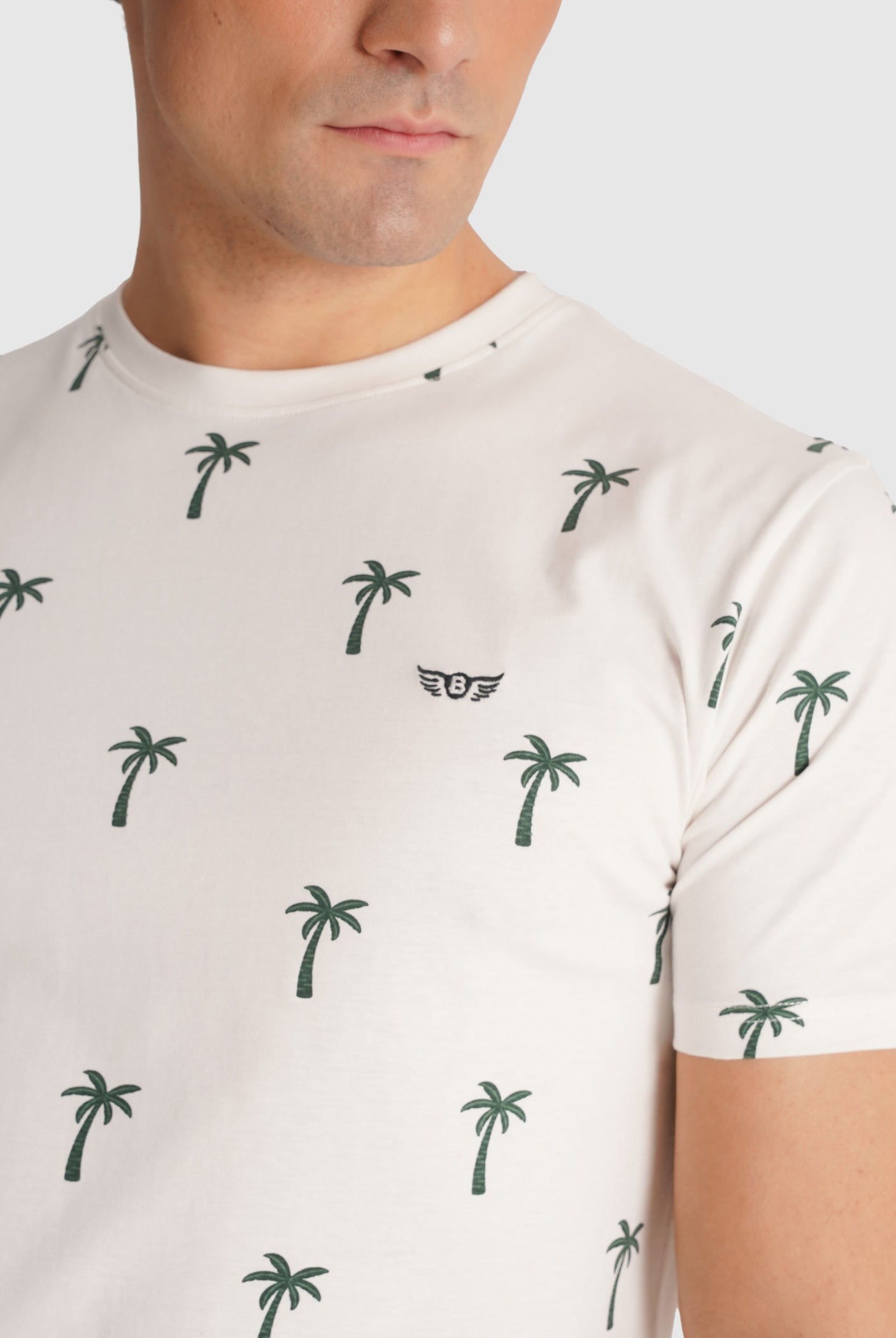 T-SHIRT CRU MANGA CURTA REGULAR FIT MR. BLUE