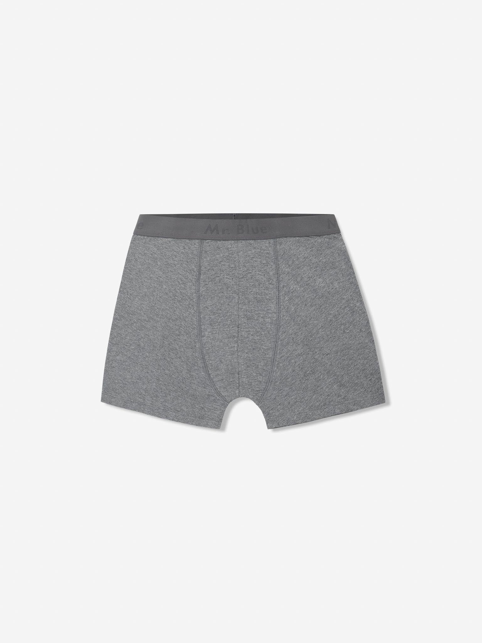 GRAY BOXERS REGULAR FIT MR. BLUE