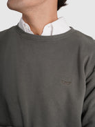 HOODIE ALGODÃO VERDE MANGA COMPRIDA REGULAR FIT MR. BLUE