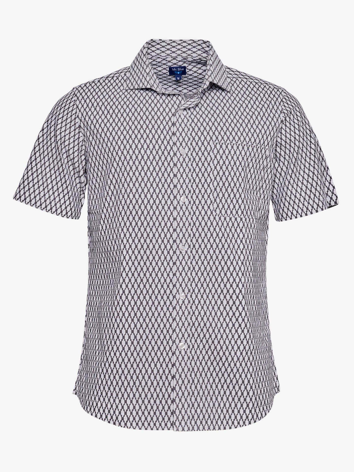 Regular Fit Gray Linen Shirt Mr. Blue