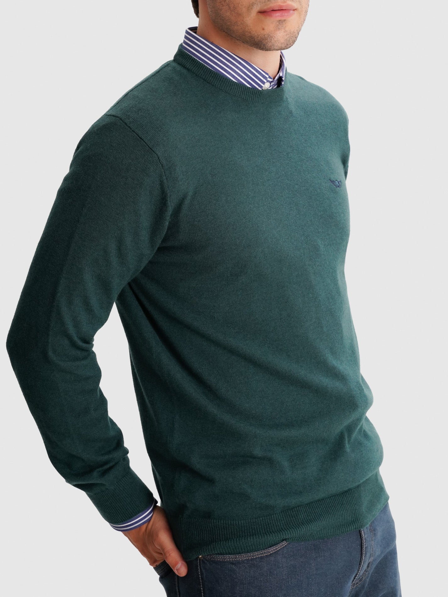 JERSEY FINO VERDE MANGA LARGA AJUSTE REGULAR MR. AZUL