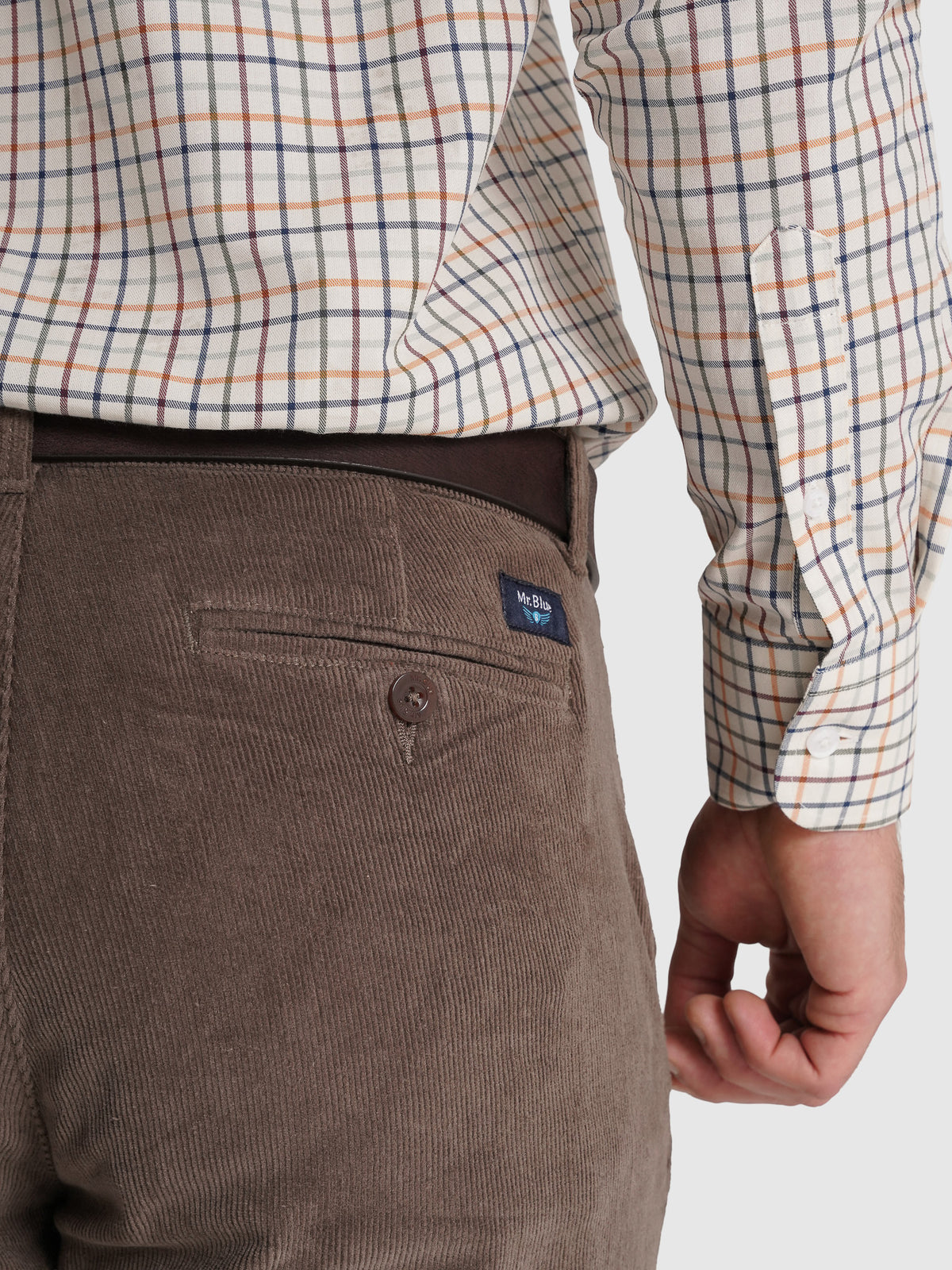 CALÇAS ALGODÃO CLASSIC FIT VERDES LISAS MR. BLUE