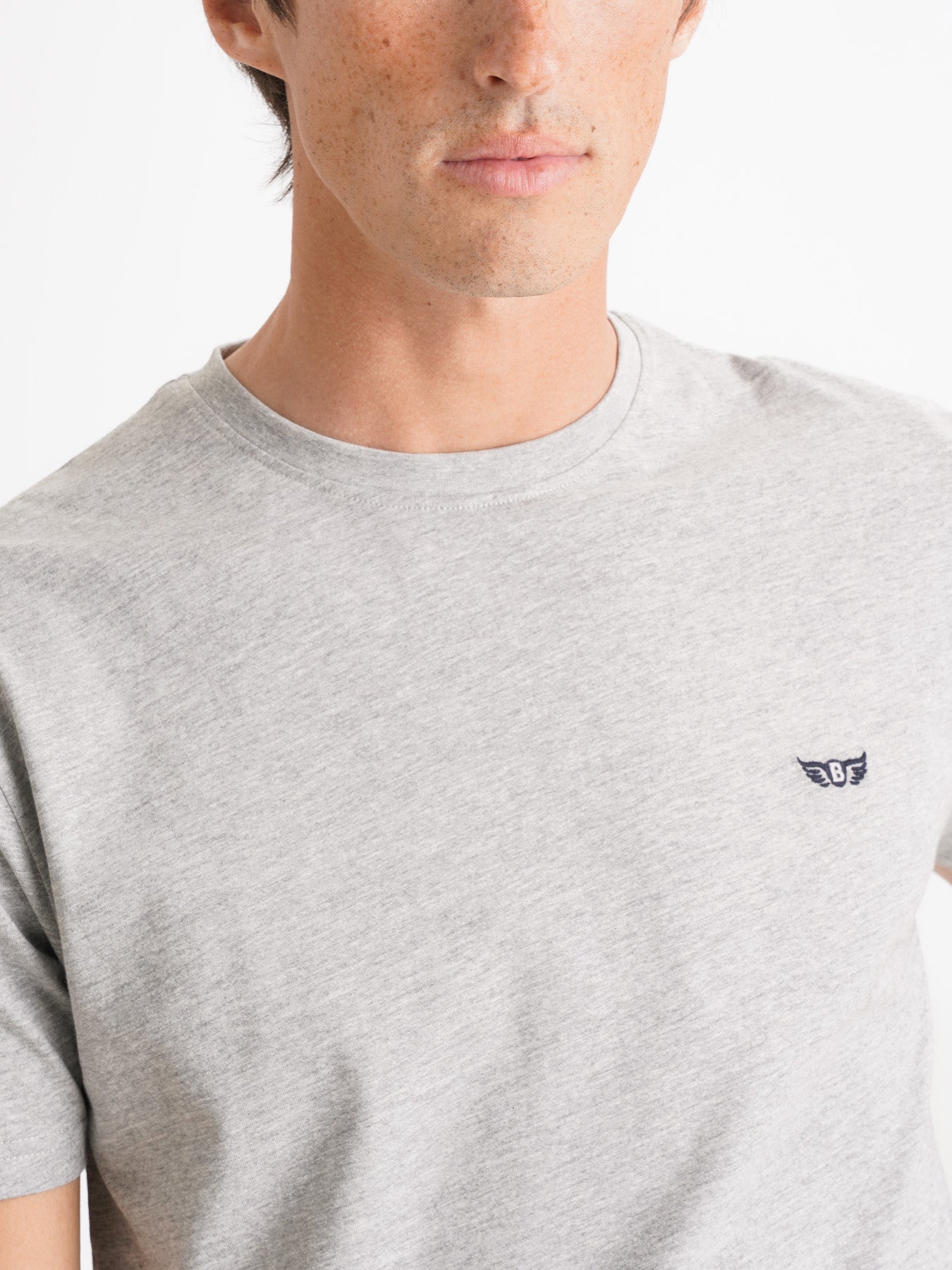 Camiseta Mr. Blue 100% Algodón Gris