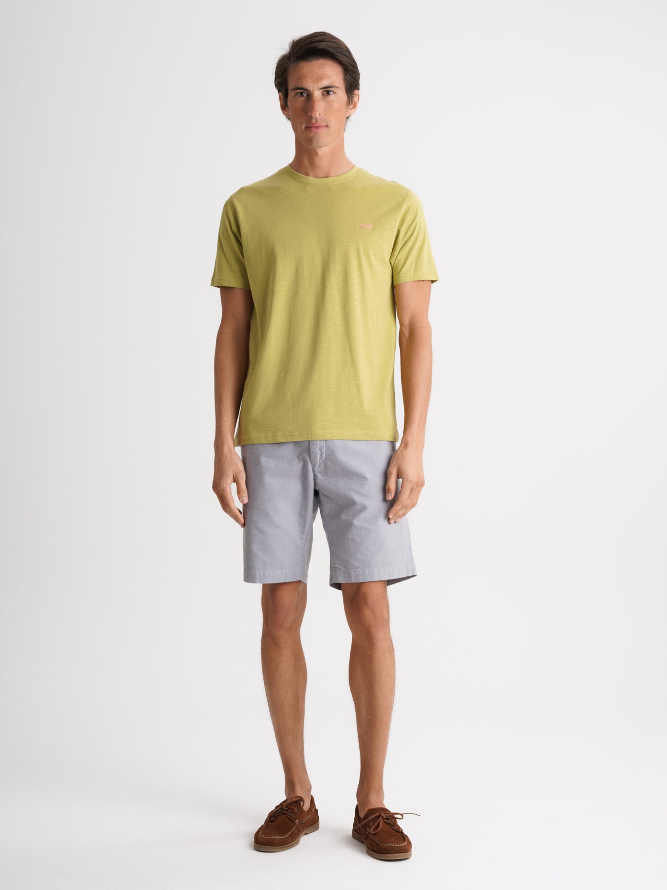 Mr. Blue 100% Cotton Green T-Shirt