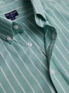 Camisa Regular Fit Oxford Verde Mr. Blue