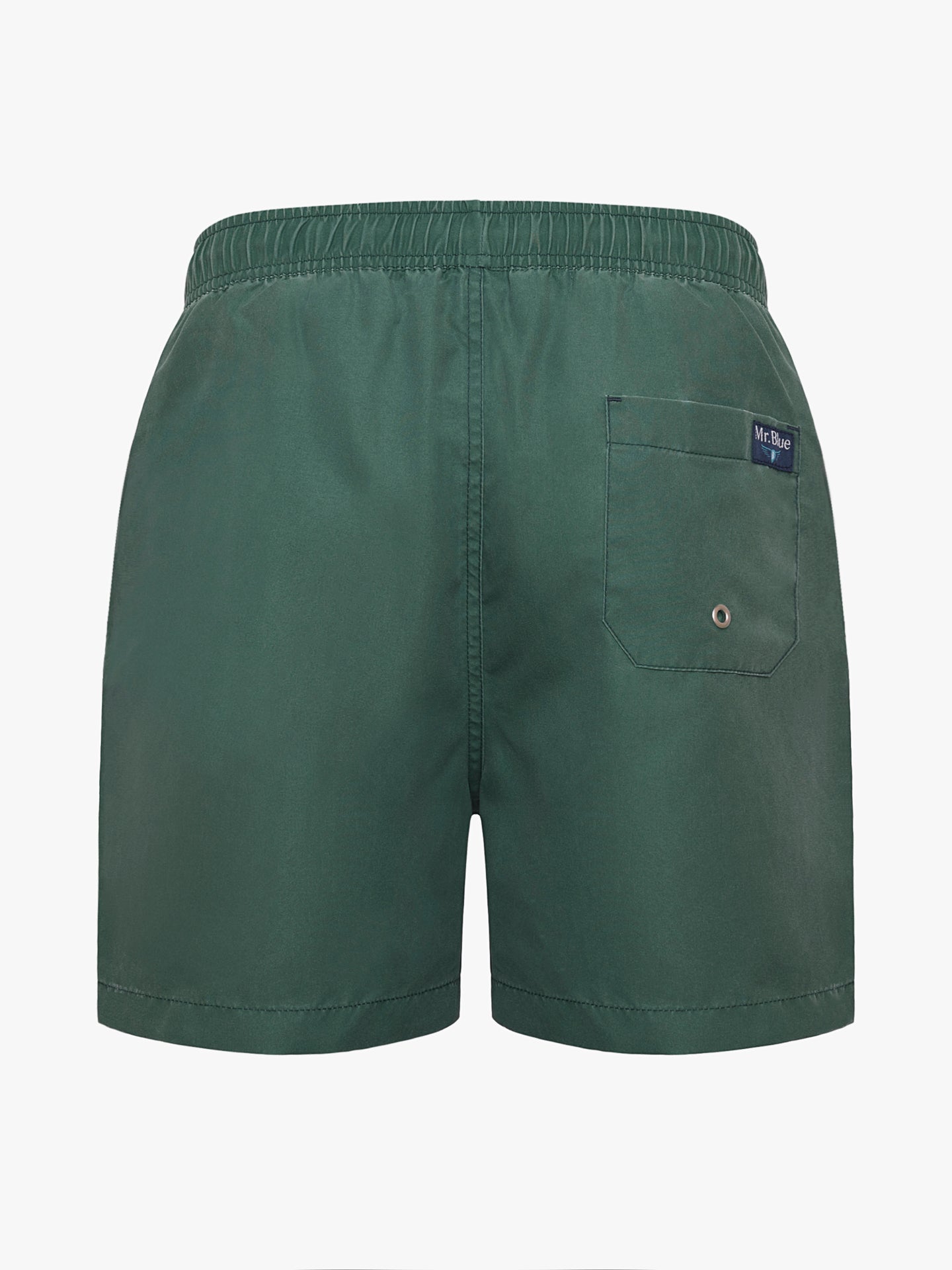 Mr. Blue Italian Green Swimsuit